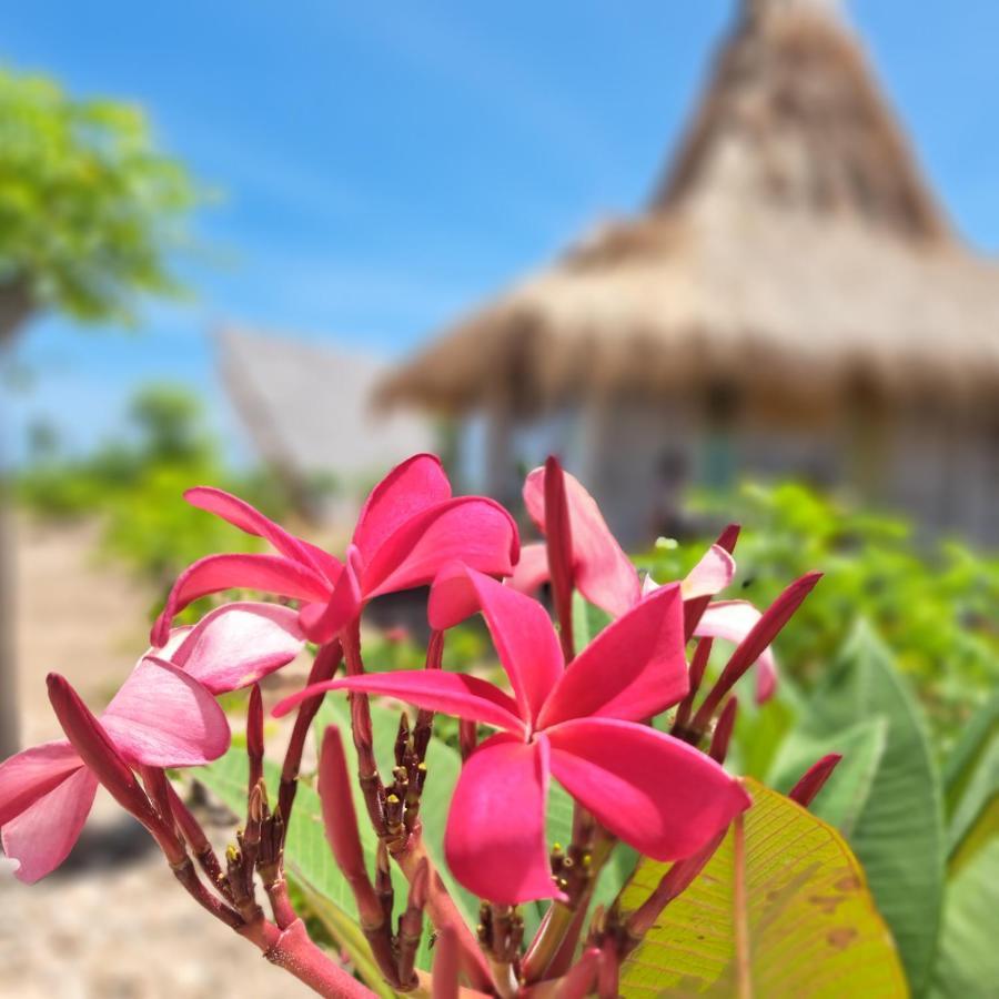 Hars Garden Sumba Hotel Waingapu Eksteriør billede